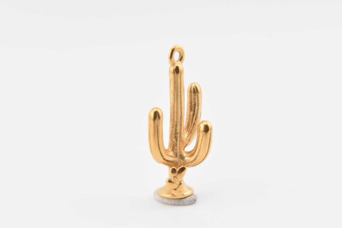 Cactus Charm