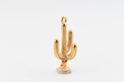 Cactus Charm