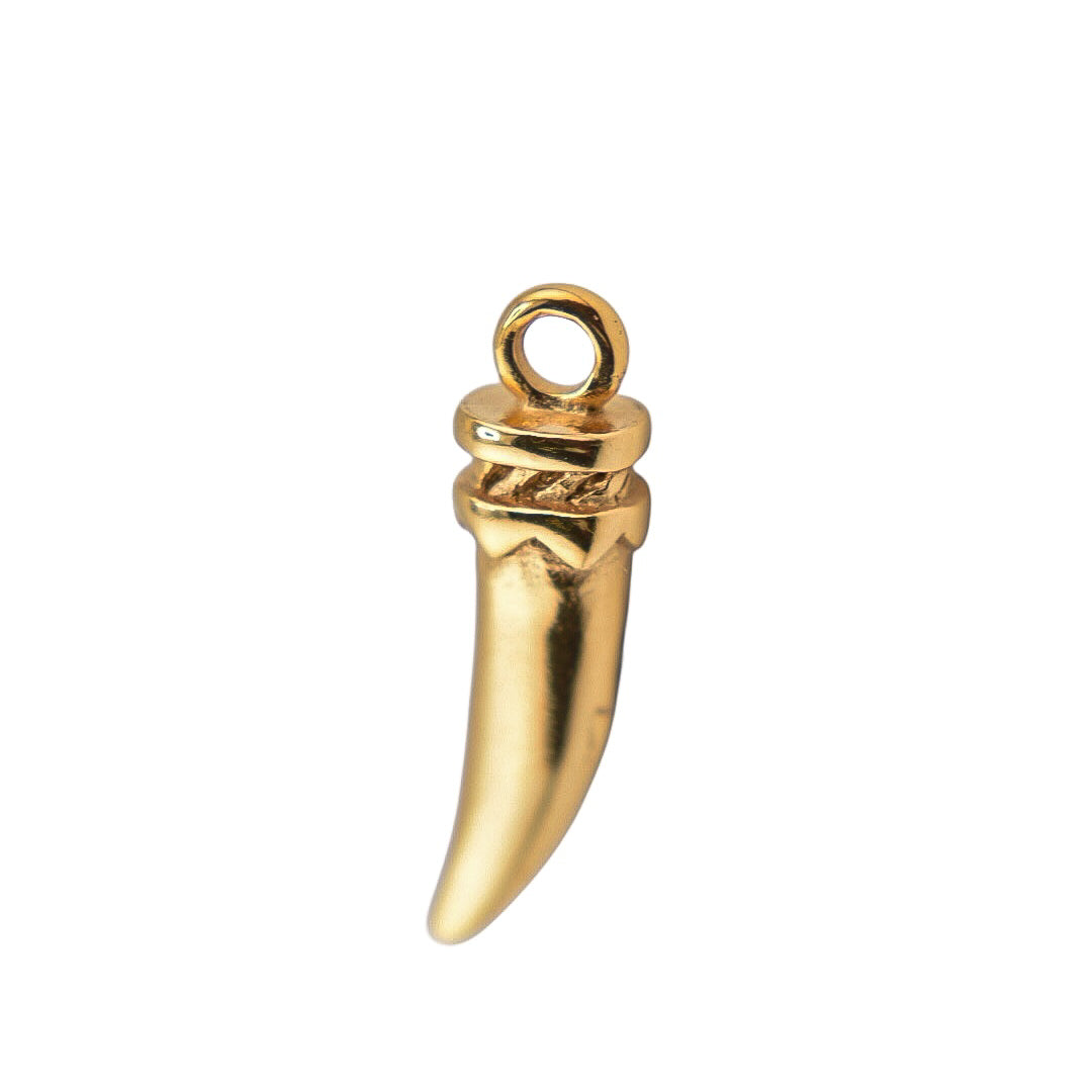 Golden Talisman Horn Charm