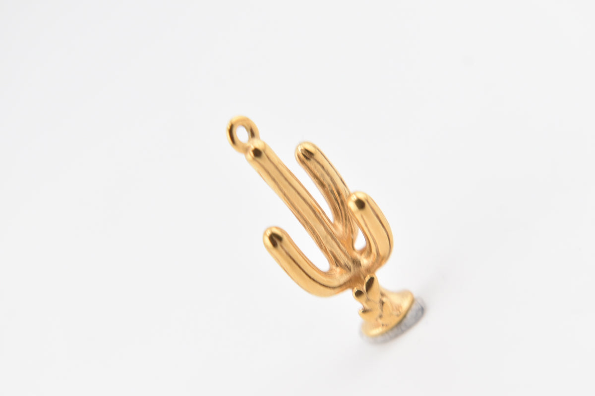 Cactus Charm